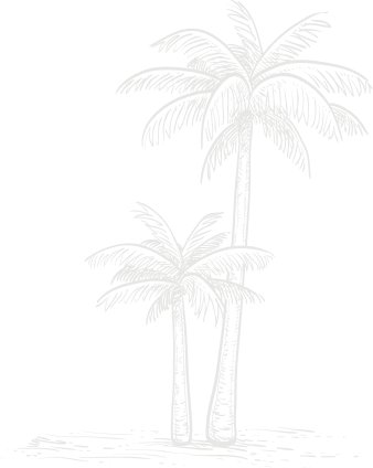 Palm Tree Illustration